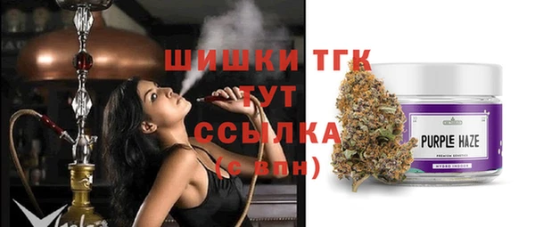 сатива Киреевск